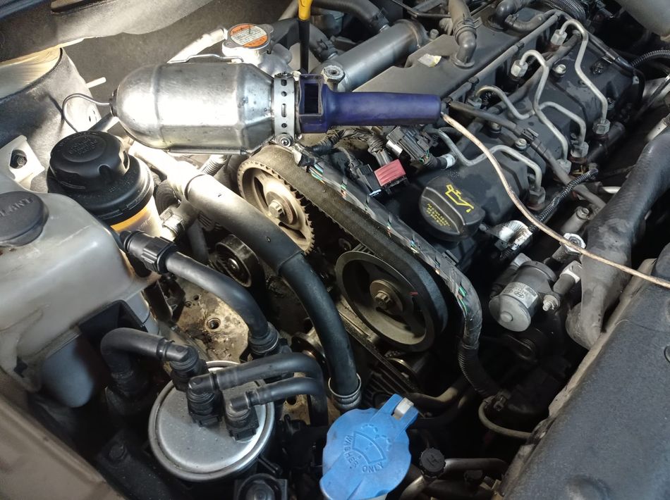 Cambio Correa Distribucion