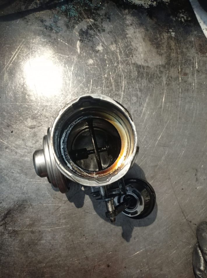 EGR Limpia Seat Leon MK I