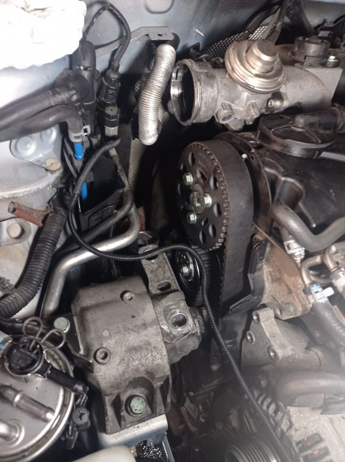 Cambiar Correa De Distribucion Seat Leon MK I