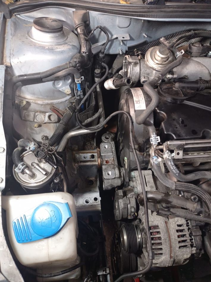 Cambio Correa De Distribucion Seat Leon MK I