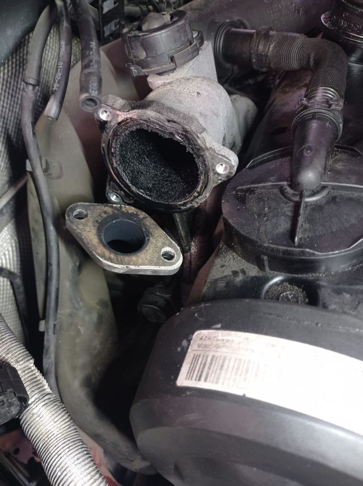 Carbonilla EGR Seat Leon MK I