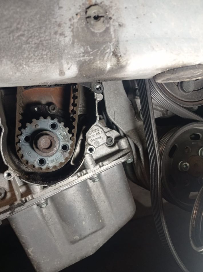 Correa De Distribucion Seat Leon MK I