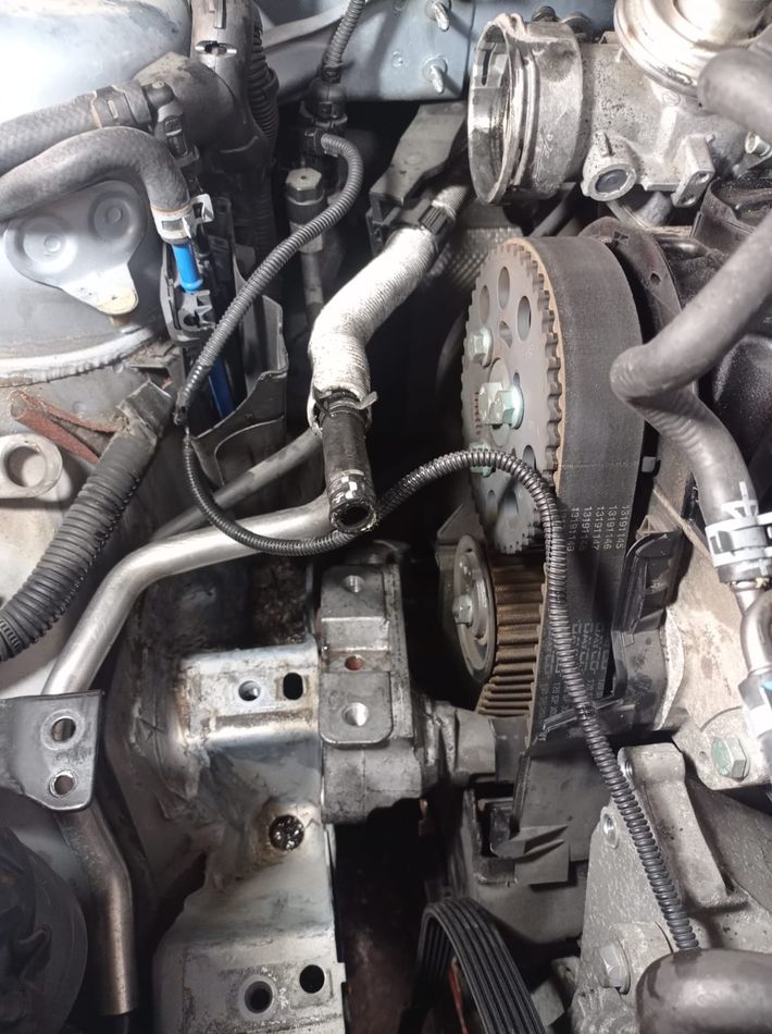 Correa De Distribucion Servicios Seat Leon MK I