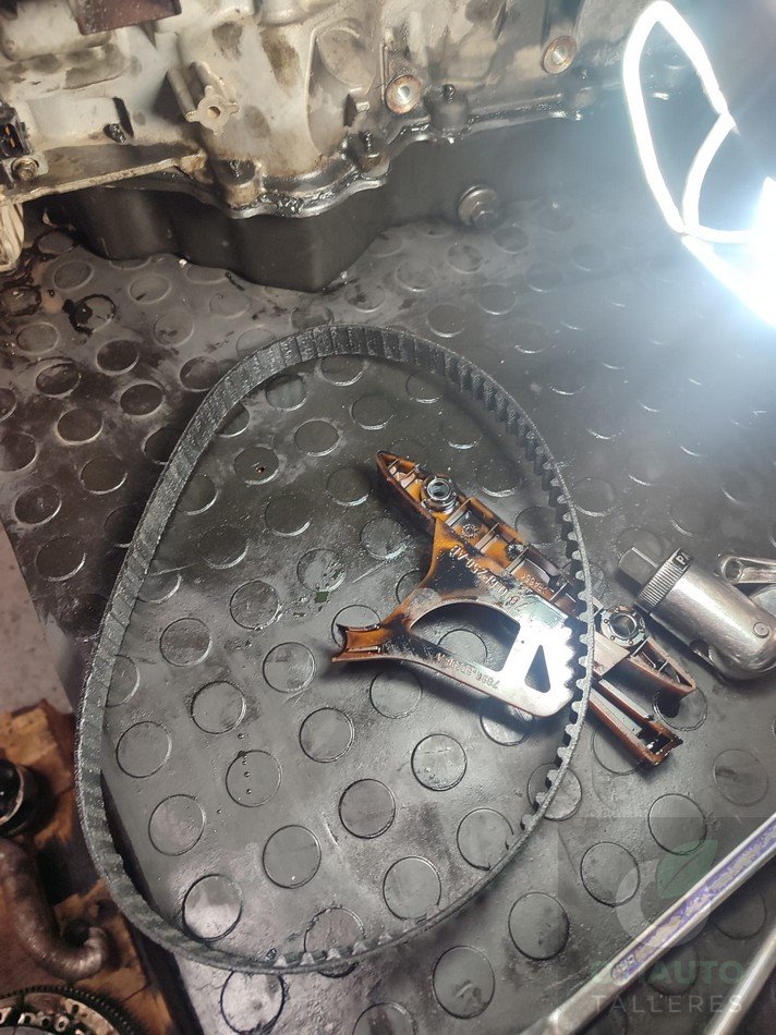 Correa Distribucion Ford Transit Connect