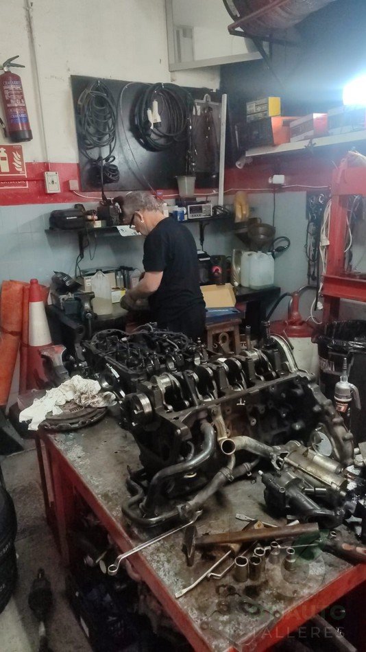 Motor Abierto Ford Transit Connect