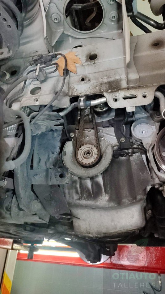 Cambio Distribucion Renault Kangoo