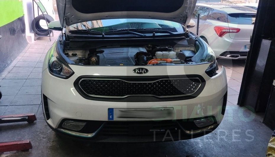 Cambio De Modulo De Carga Kia Niro Phev 2018